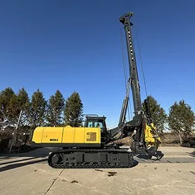 Rotary Drilling Rig